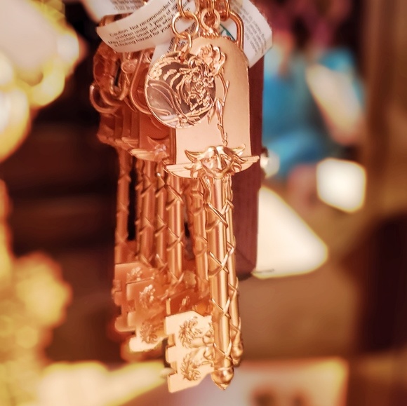 DISNEY PARKS BEAUTY & THE BEAST ROSE KEY KEYCHAIN - Picture 3 of 5